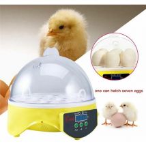 Automatic digital incubator for 7 chicken eggs