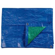 EDM - Auvent 8x12m De Double Visage Bleu/Vert Densité 90g/M²