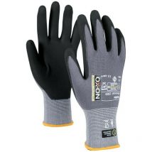 Avanzado 1900. Ox-on Tamaño 12 (por 12)