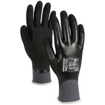 Avanzato 1904. Ox-on Dimensione 11 (per 12)