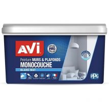 Peinture murs & plafonds AVI Monocouche Blanc mat 2,5 l