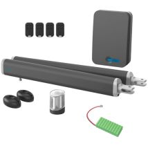 Avidsen Teha Se-antrieb Mit Batterie-backup Für Flügeltore