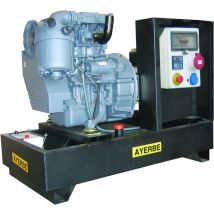 Ayerbe - 5419080 - Grupo Electrógeno ay - 1500 - 20 tx Estándar