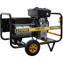 5417940 - Générateur 11000 tx avr Moteur Vanguard - Ayerbe