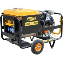 5418479 - Générateur 12500 Mn avec Démarrage Électrique - Ayerbe