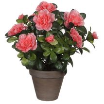 Azalée artificielle pêche en pot gris – 27 cm – Jardin piscine