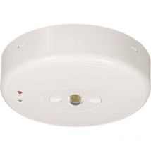 BL550038 luce di sicurezza Montaggio a soffitto - B-safety