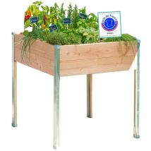 Mon Petit Potager - Bac Douglas sur pieds Design petit modèle - Bac sur pieds en bois non traité - 65cm x 60cm x 80cm