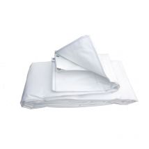 Maillestore - Bâche armée d'échafaudage 280gr/m² Transparent 3.20m x 20m