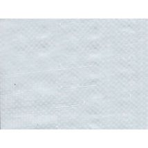Bâche de protection 100g avec oeillets - Blanc 6m x 8m Blanc
