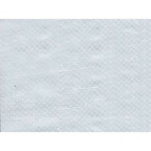 Bâche de protection 100g avec oeillets - Blanc 10m x 12m Blanc