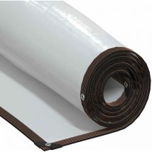 Bâche transparente avec œillets 4x10 m polyéthylène Vidaxl