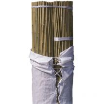 Bala Tutor Bambú 240 cm - Ø18/20: 100 Ud.