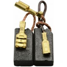 Balais de Charbon pour Hilti Marteau TE104 100 v - 6,3x10x19mm