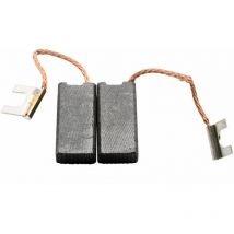 Balais de Charbon pour Stayer Polisseuse LU80 - 6x10x20mm