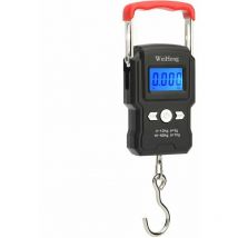 Euritecsa - Balance a Crochet Suspendue, Double Precision, Retroeclairage De L'Ecran Lcd, 50Kg / 5G