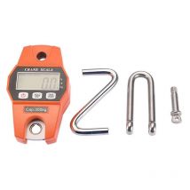 Longziming - Balance de pesage numérique 300 kg pour la ferme, la chasse, le plein air, la pêche à la basse, le grand jeu, le grand bagage, le gros