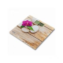 Tm Electron - Balance Numérique de Salle de Bain Zen Marron Slim (23 mm)