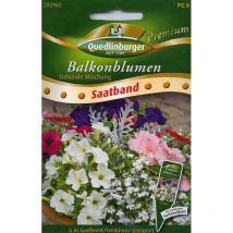 Quedlinburger Balkonblumen Stehende Mischung Saatband - Premium Blumensamen