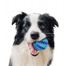 Balle Pour Gâteries Pour Chiens, Jouet De Dentation