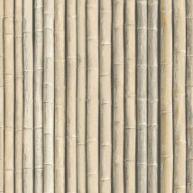Bamboo Wood Effect Wallpaper Galerie Cream Beige Natural Paste The Wall