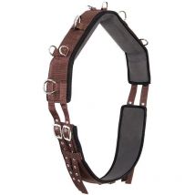Marron - Sangle de dressage en nylon avec rembourrage et sangle en néoprène