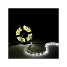 Bande de 300 LED 80W 4 400Lm CRI85 6000oK SMD5630 12VDC x5M 40 000H [CA-PL219009-CW] -Blanc Froid