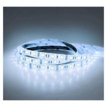 Vision-el - Ruban led 14.4 Watts /m - Blanc - Rouleau 5M 24V étanche Miidex Lighting resine-epoxy-ip65 - blanc-froid-6700-k
