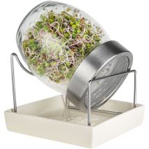 Barattolo germogliatore GEO in vetro per germogli TZZ0865