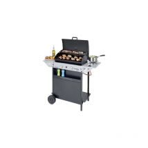 Campingaz - Barbecue Gaz Xpert 200 ls + rocky 107x50xH98 cm