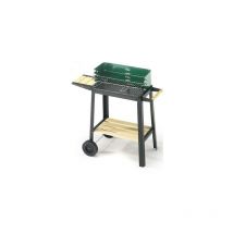 DFL - Barbecue a carbone carbonella 50-25 green/w' ompagrill cm 50x25