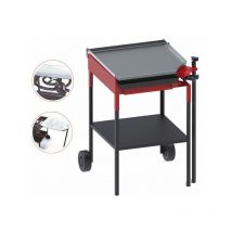 FM - Barbecue bbq piastra in acciaio lucido e piano cottura 560 x 570 x 5 mm