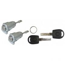 Barillet de porte A6 Arosa Passat 3B0837167D