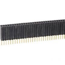 Fischer Elektronik - Barrette femelle (standard) Nbr de rangées: 1 Nombre de pôles par rangée: 36 blm kg 1/ 36/G 1 pc(s)