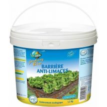 Barriera naturale contro le lumache