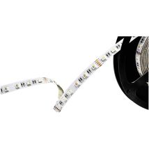 Barthelme 51542434 Ruban Led 24 V 5000 Mm Rvbb 5 M R404522