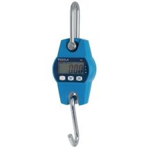 Pesola - Balance Suspendue Heavy-duty 100kg - Phs100-hd