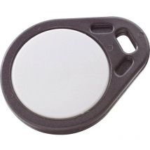 Basetech BT-1656202 - Transponder (larghezza x altezza x profondità) 31 x 4,8 x 40 mm