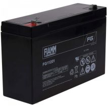 Batería De Plomo Agm Fiamm Fg12201 6v 12ah