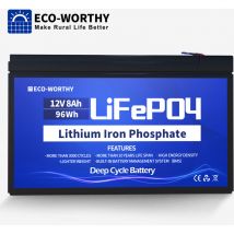 Eco-worthy - Batería recargable de ciclo profundo 8Ah 12V LiFePO4 con bms incorporado
