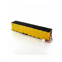 Exalium Premium - Batería 18V 3Ah NiMh para fuerza aérea limpiador 18V extrema Rowenta RS-RH5233