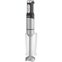 Batidora Pie Inoxidable 1500w Bv1500