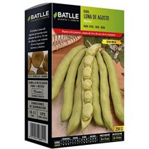 Batlle - Semi di fava