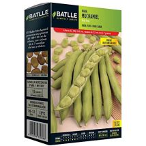 Batlle - semi Di Fava
