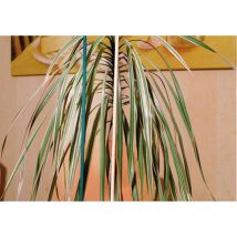 Flora - Bâton à fendre nature ø 4-45mm 50cm 10 botte