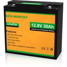 Batteria al litio ricaricabile 12V 30Ah LiFePO4 con oltre 3000 cicli profondi e protezione bms per quad per bambini, veicolo per bambini, motore