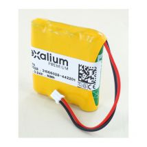 Exalium Premium - Batteria 4.8V 900mAh per elettroterapia globus Elite S2, Genesy S2, Duo Tens