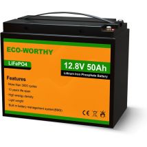Batteria al litio ricaricabile 12V 50Ah LiFePO4 con ciclo profondo 3000 volte e protezione bms per camper, barca, solare, eolico, industriale e sedia