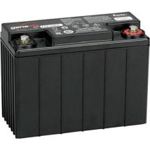 Enersys Genesis 12ep13 Batteria Al Piombo Nera 13 Ah