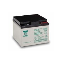 12V 24Ah NPL24-12I Yuasa batteria piombo
